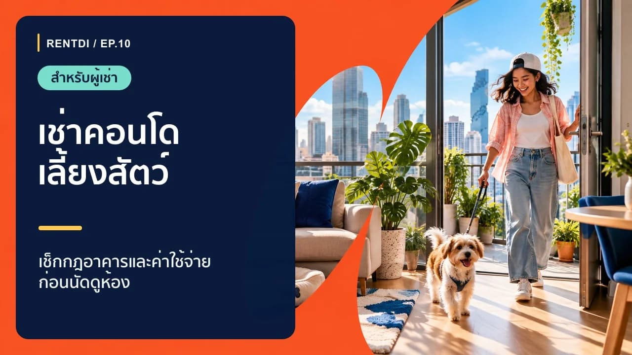 เช่าคอนโดเลี้ยงสัตว์ในกรุงเทพฯ เช็กอะไรให้ครบก่อนจองห้อง